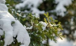 Kayseri hafta içi parçalı bulutlu ve kar yağışlı geçecek