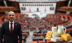 Kayseri vekili İncesu’daki meralar için meclisten seslendi