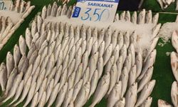 Kayseri’de balık bolluğu yaşanıyor en çok tüketilen balık hangisi, fiyatları ne?