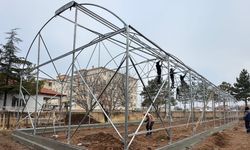 Kayseri’de gençler artık serada yetişecek: Büyükşehirden 460 bin TL’lik yatırım