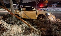 Kayseri’de alkollü sürücü ağaç ve direk devirdi!