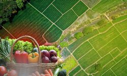 Tarımsal Yatırım Rehberi Yayımlandı: Kayseri'de hangi ilçeye ne yatırımı yapılmalı?