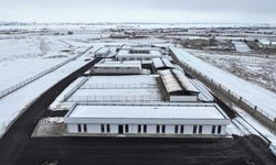 Kocasinan'a Hayvan Bakım Evi açılıyor!