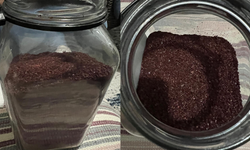 Kayseri’de Yeni Bitki Türü Keşfedildi!