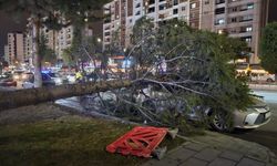 Talas Bahçelievler’de şiddetli rüzgar ağacı arabanın üzerine devirdi