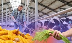 Kayserili çiftçiyi sevindirecek haber: TMO yem hammaddesi satacak
