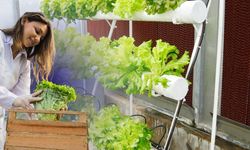 Kayseri İl Tarım , ERÜ ve KADEM İşbirliği: Kadınları merkeze alan protokol imzalandı