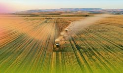 Tarım sektöründe yaşanan olumsuzluklar ihracata nasıl yansıdı? Rekor rakamlar açıklandı
