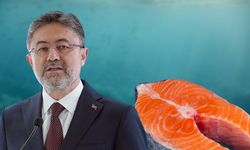Türk Somonu ihracatta rekor kırıyor: Kayseri neresinde yer alıyor?