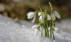 Baharın müjdecisi cemre ne zaman düşecek? 2026 takvimi açıklandı