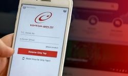 e-Devlet o tarih ve saatte kapalı olacak!