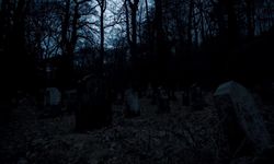 Mezarlıkta korkunç cinayet: 2 çocuk annesi vahşice öldürüldü