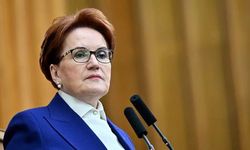 Meral Akşener siyasete geri mi dönüyor? İşte net cevap