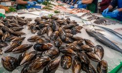 Kayseri’de midye alarmı mı? Hepatit A ve Norovirüs iddiaları tedirginlik yarattı