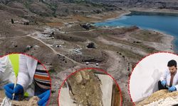 Kayseri Taşhan’da 7,7 milyon yıllık geçmişe ışık tutan yeni fosil buluntuları