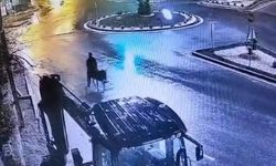 Eşekli kuyumcu hırsızı: Bize ait ahıra gittim. Eşeği ahıra bağladım altınları gömdüm