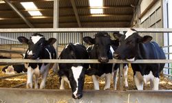 Kayseri İl Tarım uyardı: Başvuru yapan üreticilerin kontrol etmesi gerekiyor