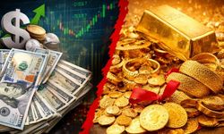 Ocak ayında döviz mi kazandırdı, ziynet mi?