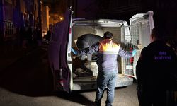 Sivas’ta yangın faciası: Bir evde 26 kedi can verdi