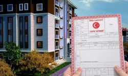 Tapusu olanlar 5 gün içinde yapmazsa hakkını kaybedecek!
