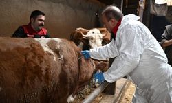 Sahada ilk aşı Saklav'dan : Seferberlik Melikgazi’den başladı