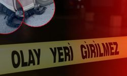 Tırın altında kaldı! Sözleriyle herkesi şaşırttı