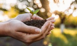 Cemre toprağa düştü! Baharın son müjdesi