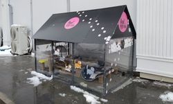 Kayseri esnafından örnek davranış: Isıtmalı kedi evi yaptılar