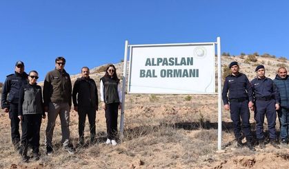 Kayseri'nin en büyük ormanı bakın hangi ilçeye yapılıyor?