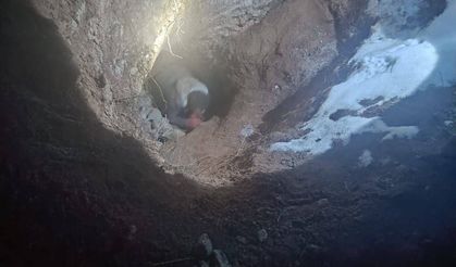 Felahiye’de operasyon: Tümülüste suçüstü yakalandılar!