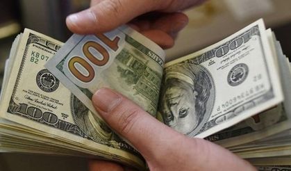 Elinde 1 dolar bile olan dikkat: Bu tarihte 45 lira olacağını açıkladılar