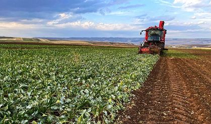 Çiftçilere 3 ödeme birden: Milyonları ilgilendiren güzel haber geldi!