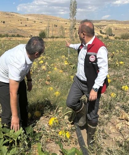 Kayseri bakın neyde Türkiye'nin 1 numarası oldu?