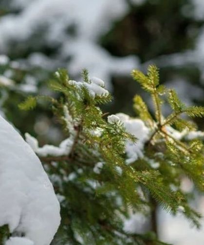 Kayseri hafta içi parçalı bulutlu ve kar yağışlı geçecek