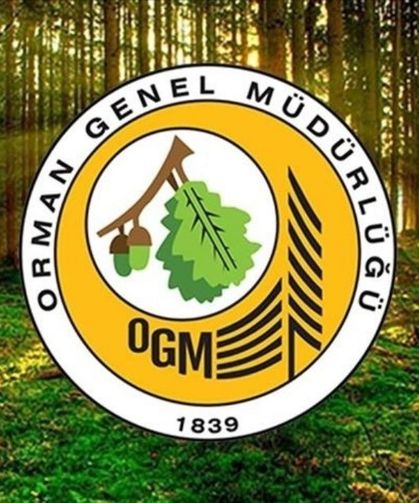 Bakanlık personeline müjde: Karın yüzde 80’i prim olarak dağıtılacak!  Resmi Gazete'de yayımlandı