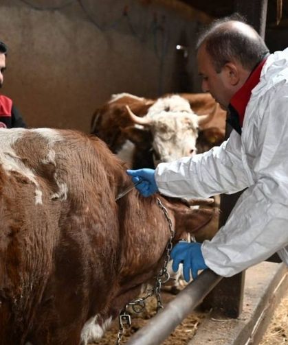 Sahada ilk aşı Saklav'dan : Seferberlik Melikgazi’den başladı