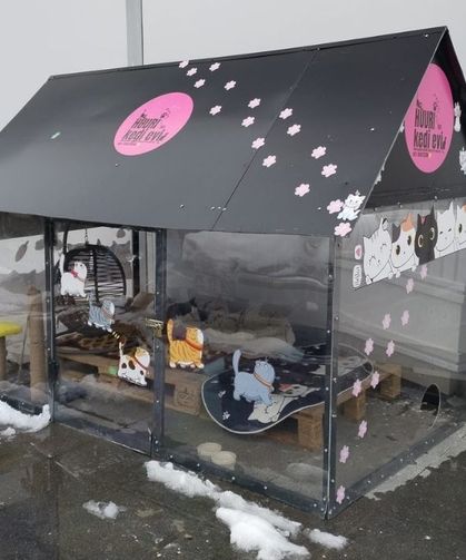 Kayseri esnafından örnek davranış: Isıtmalı kedi evi yaptılar