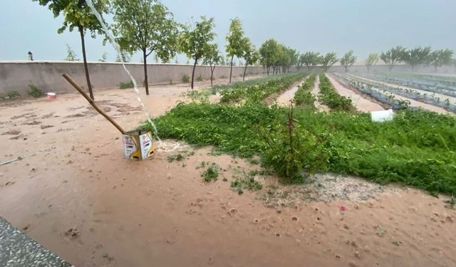 Sağanak yağışlar Kırşehir'in ilçelerini vurdu