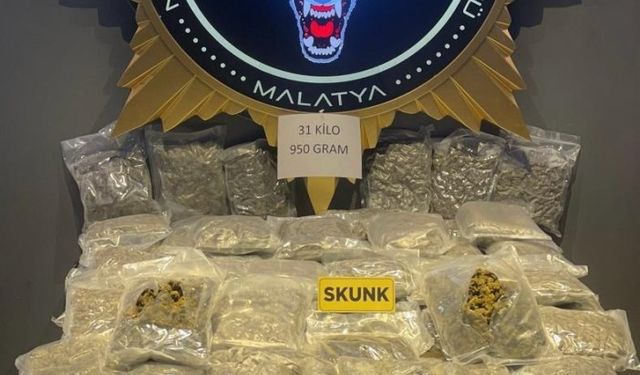 31 Kilo 950 Gram Skunk Maddesi Ele Geçirildi