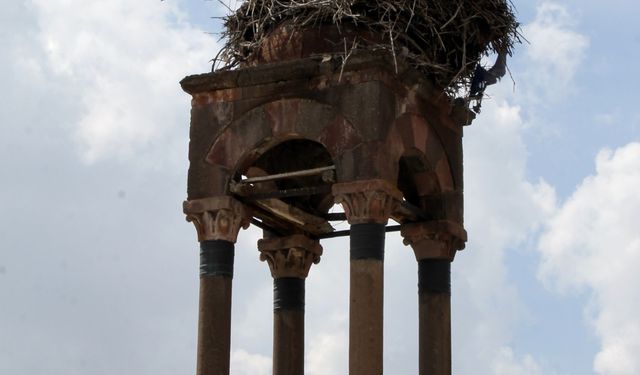 Tarihi çan kulesi, 60 yıldır leyleklere ev sahipliği yapıyor