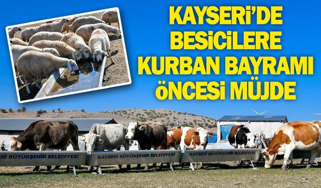 Kayseri'de Kurban Bayramı Öncesi Besicilere Müjde