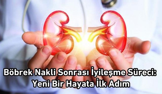 Böbrek Nakli Sonrası İyileşme Süreci: Yeni Bir Hayata İlk Adım