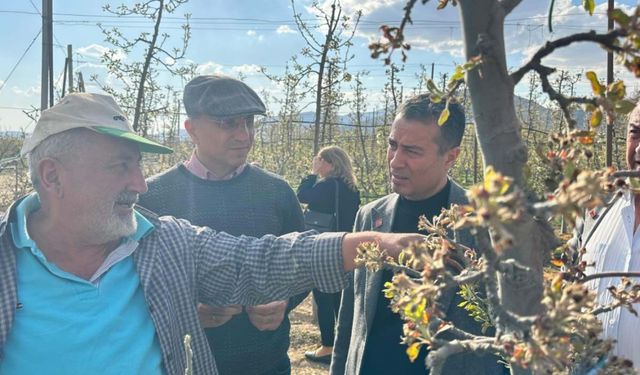 CHP’li Aşkın Genç: Kayseri'de zarar çok büyük, acilen destek programlarının açıklanması şart!