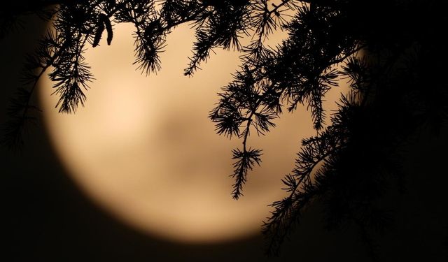 13 Nisan’da Kayseri'de Dolunay gökyüzünü aydınlatacak: Etkileri bu gece başlıyor!