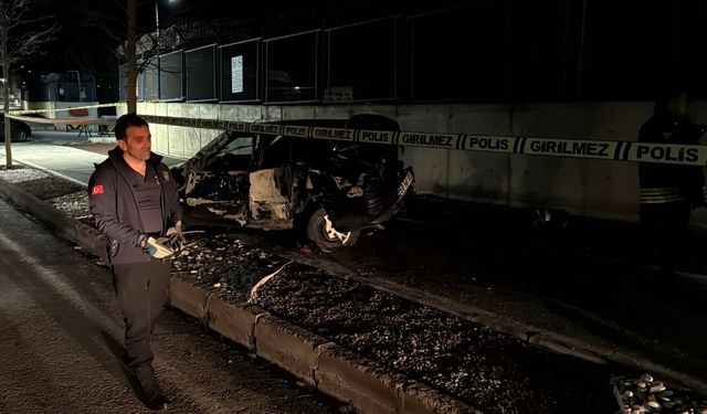 Sivas'ta ağaca çarpan otomobilin sürücüsü feci şekilde can verdi!