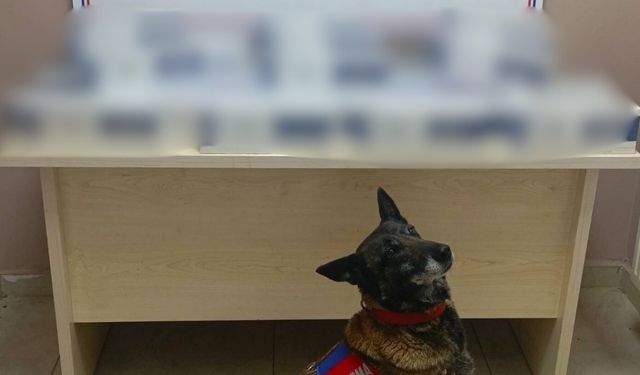 Kayseri'de jandarma ekiplerinden kritik operasyon: Tam 1400 paket gizlemiş!