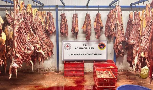 Tek tırnaklı hayvana ait 3 ton bozulmuş et ele geçirildi