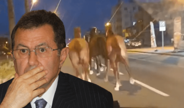 Kaçak yarış atları ortalığı birbirine kattı! Sahibi, bir dönemin en zengin iş adamı çıktı!