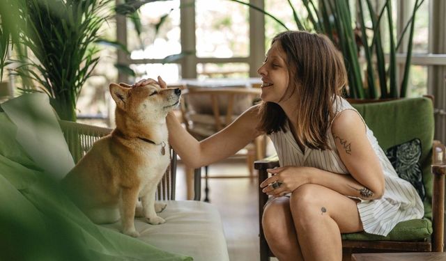 Kedi ve Köpeklerin Telepatik Bağlantısı: Bilimsel Kanıtlar Var Mı?