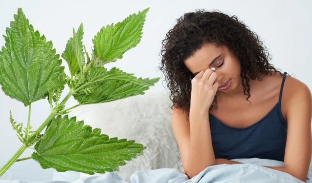 Kansızlığa İyi Gelen Besinler Nelerdir?